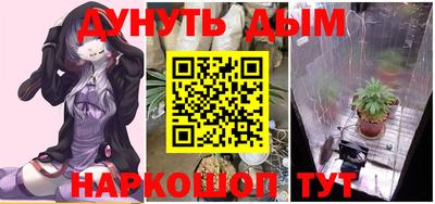 дмт Шелехов