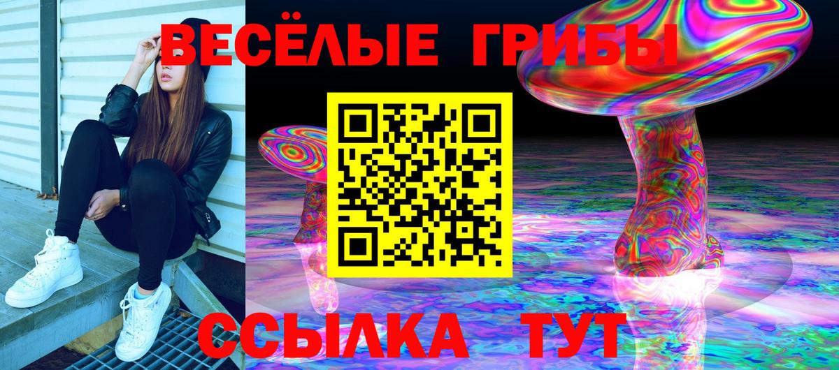 Белорецк  где продают наркотики  Вход с VPN  Псилоцибиновые грибы GOLDEN TEACHER 